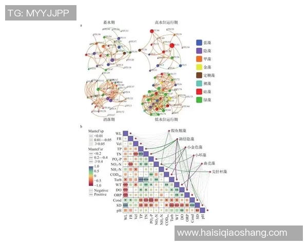 成都足球队在大师赛中的速度优势分析与表现点评