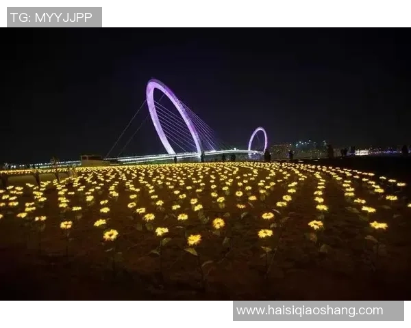 南京排球队配合默契创历史新高引发全城关注与热议